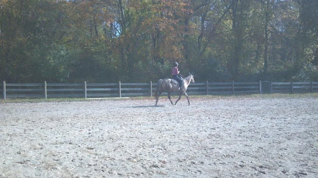 2013-10-119510-59-2095466.jpg