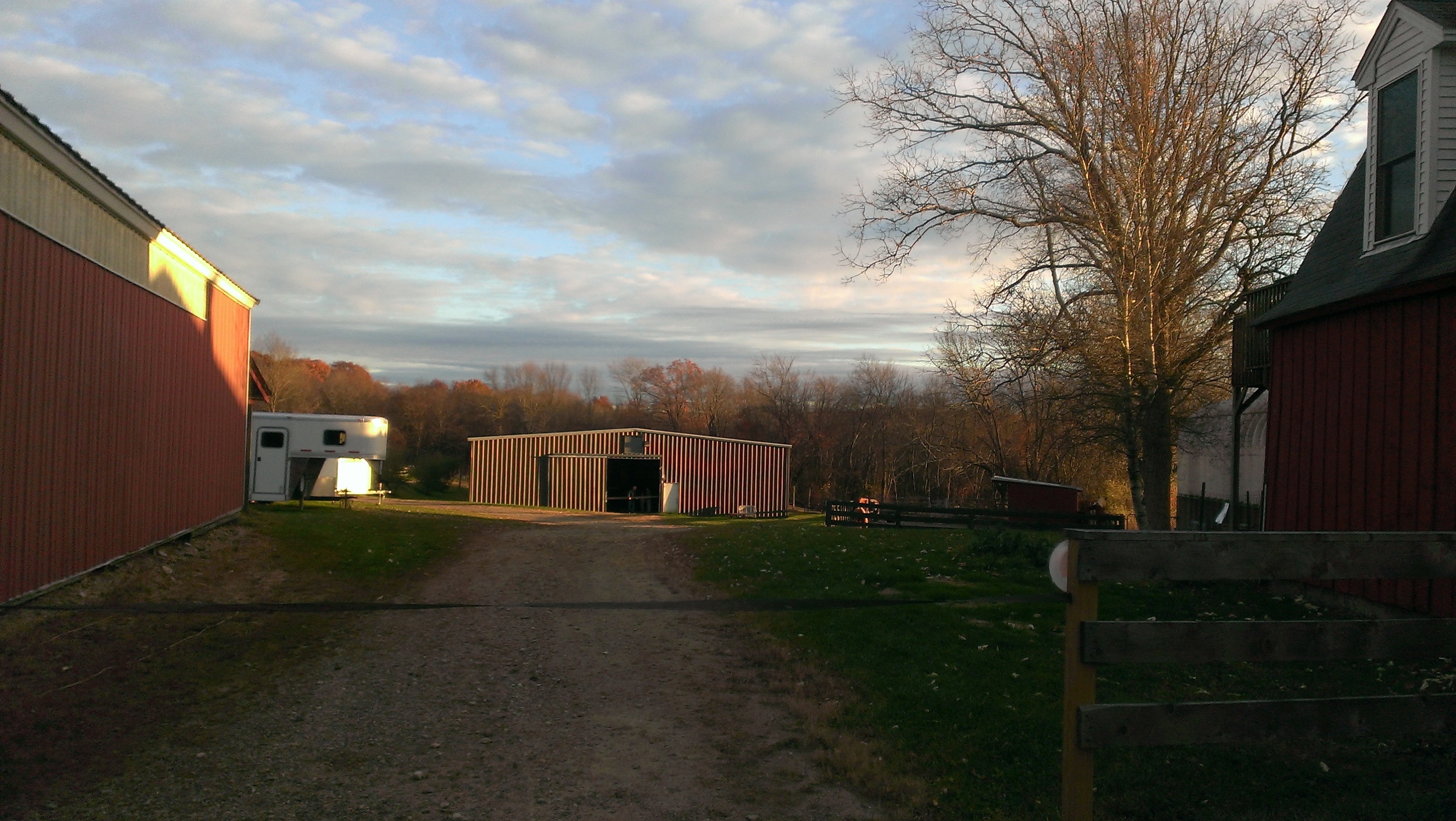 IMAG0161.jpg