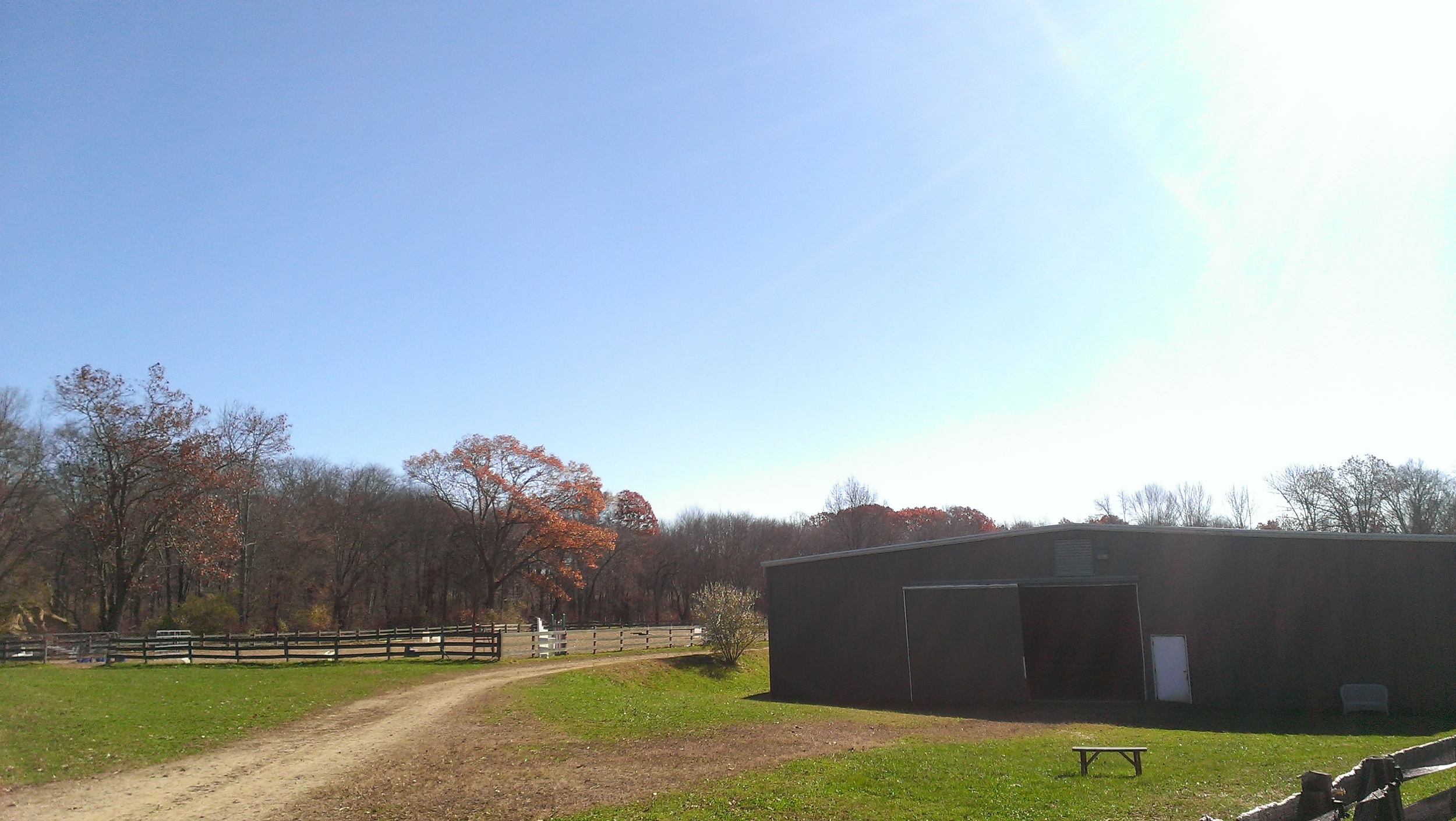 IMAG0226.jpg