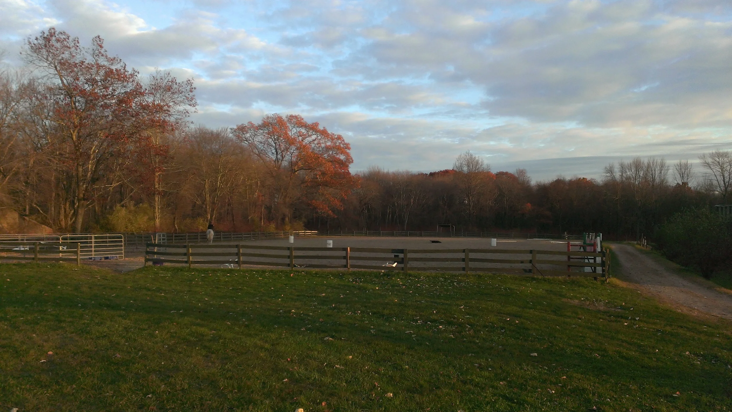 IMAG0170.jpg
