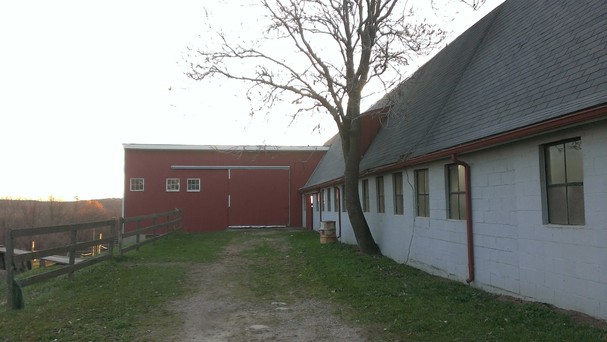 IMAG0179.jpg