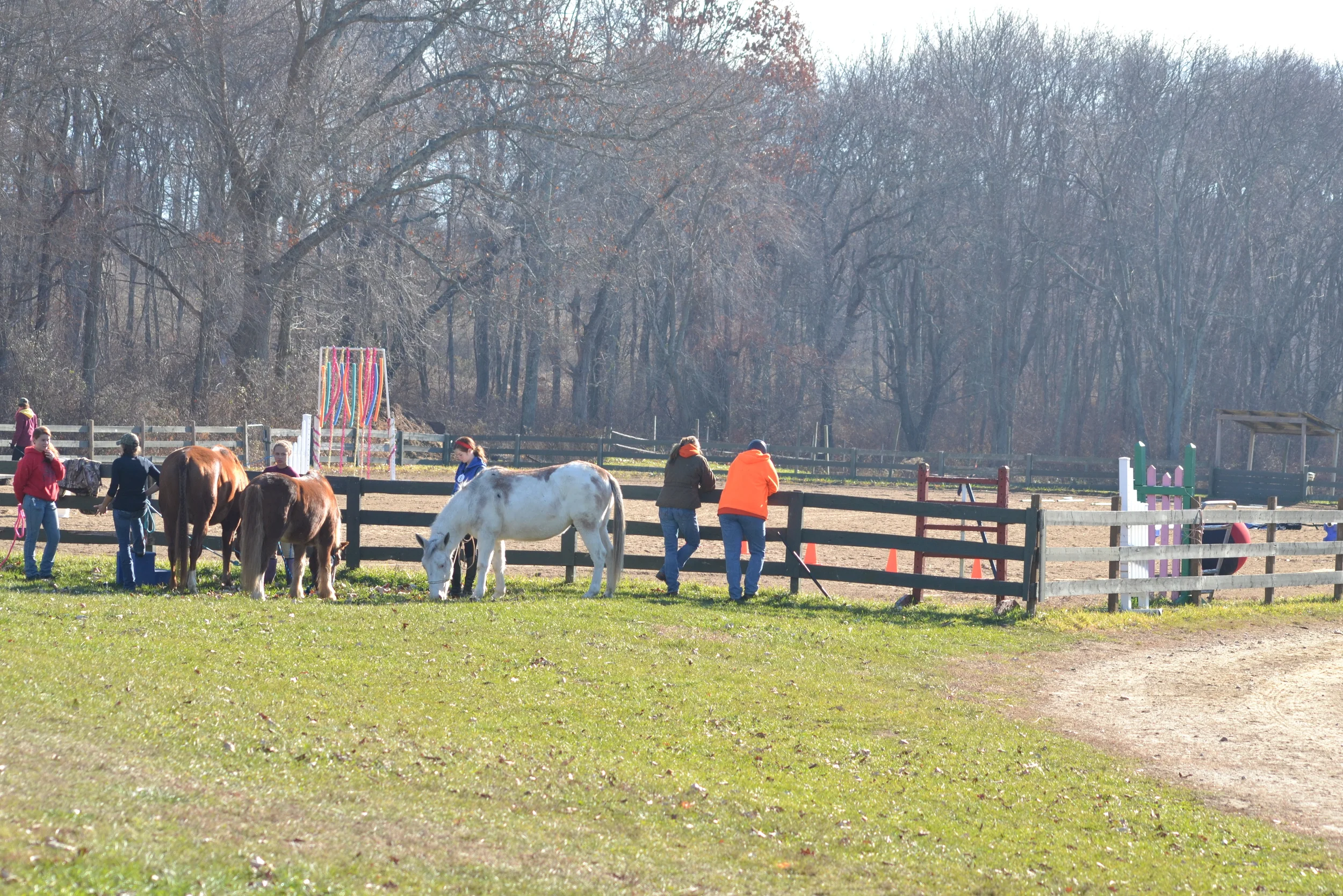  Photo Credit: Darren Norton 