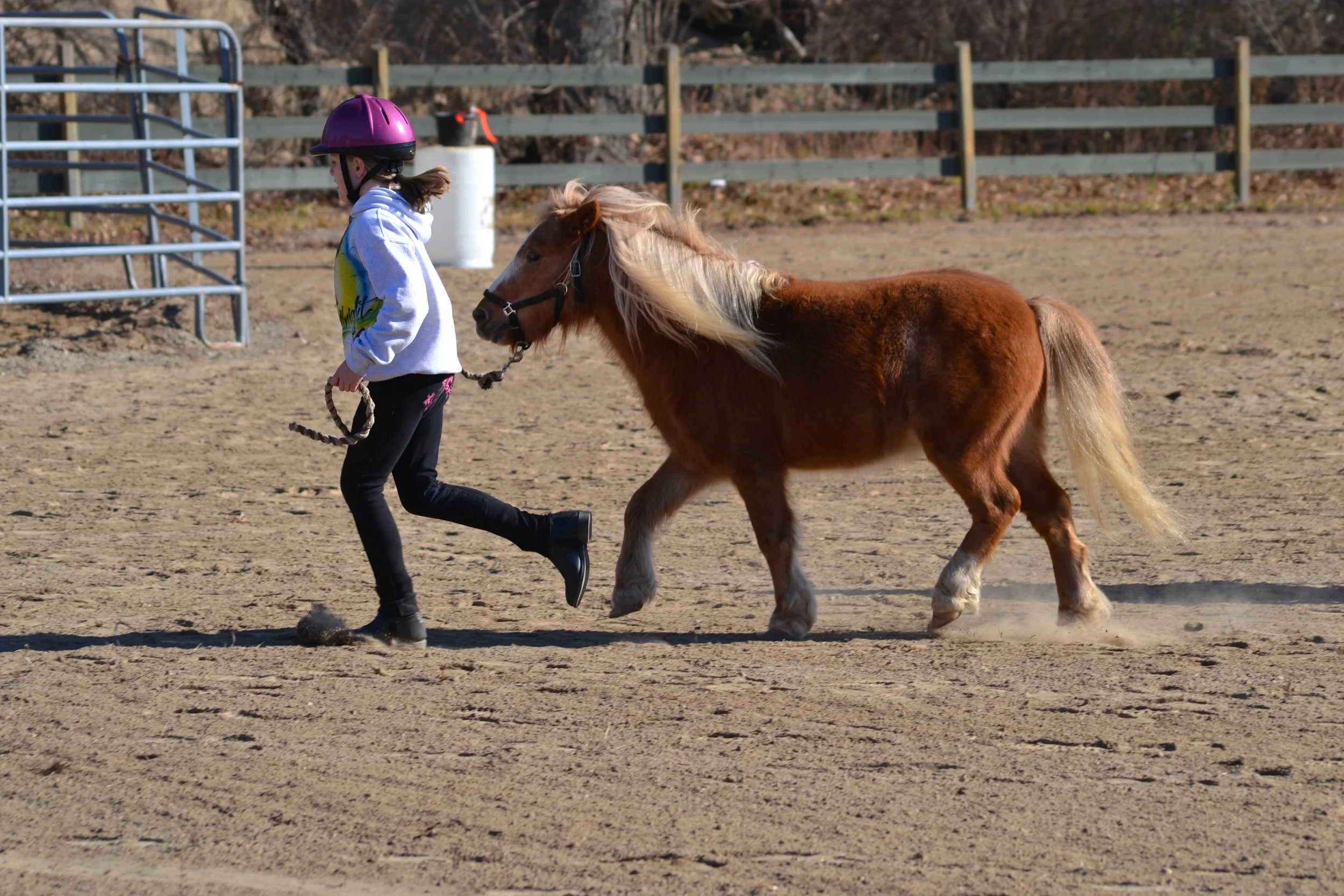  Photo Credit: Darren Norton 