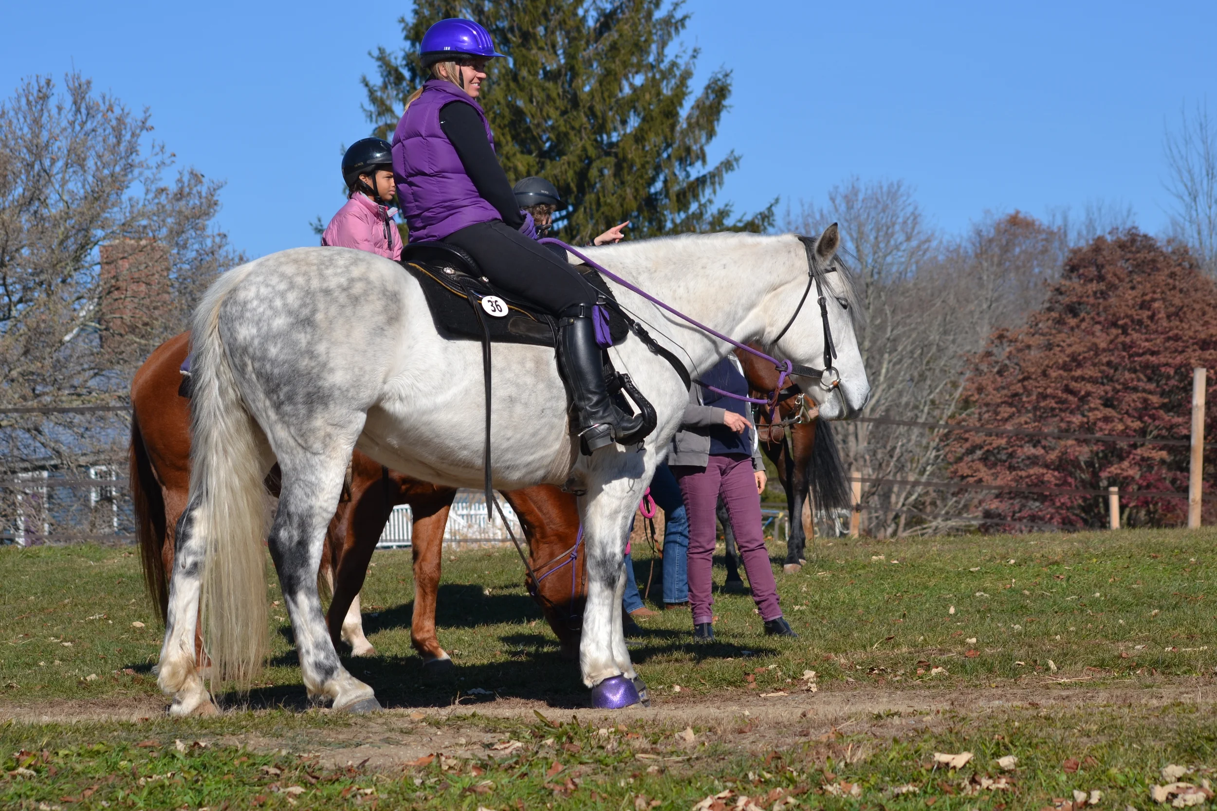  Photo Credit: Darren Norton 