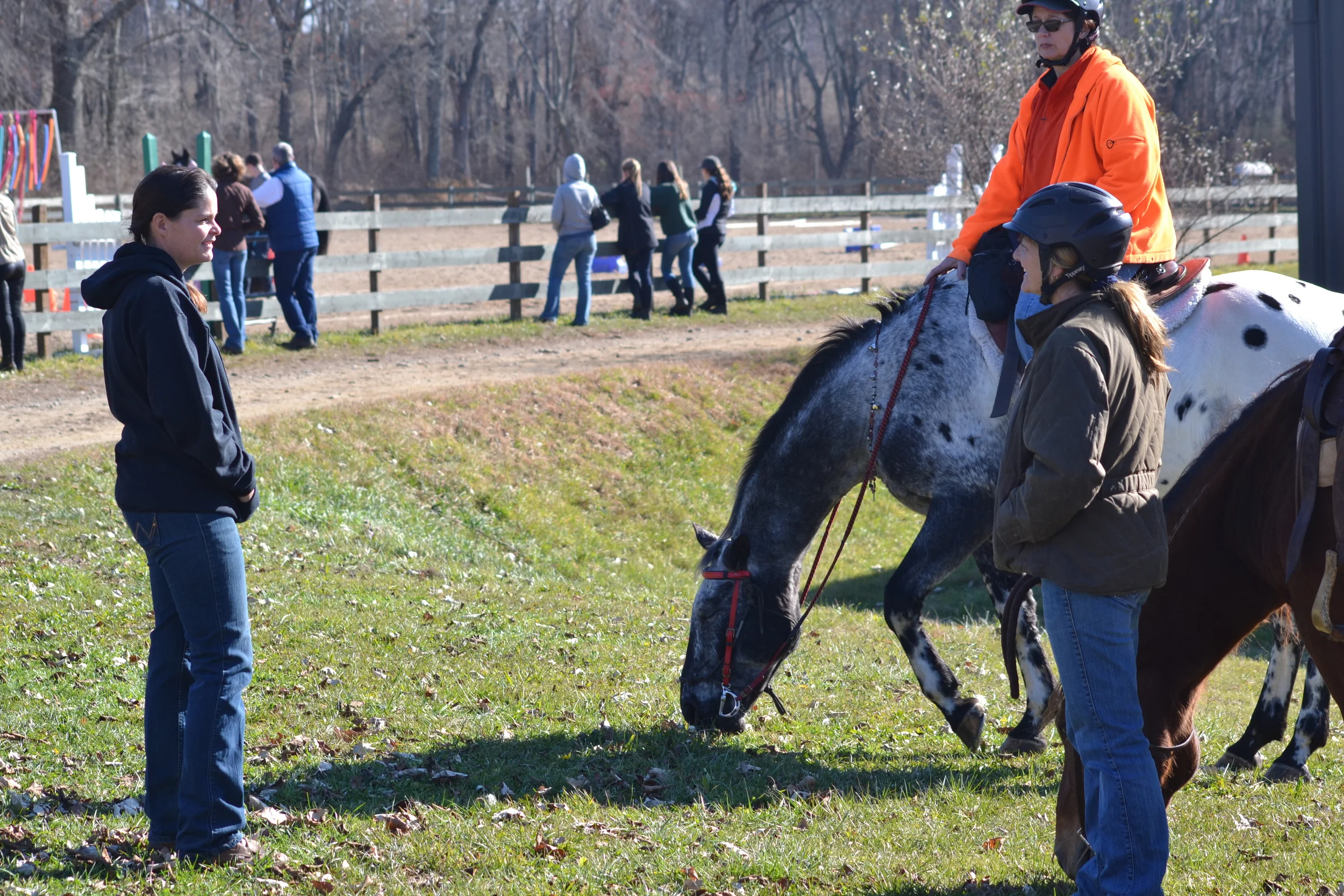  Photo Credit: Darren Norton 