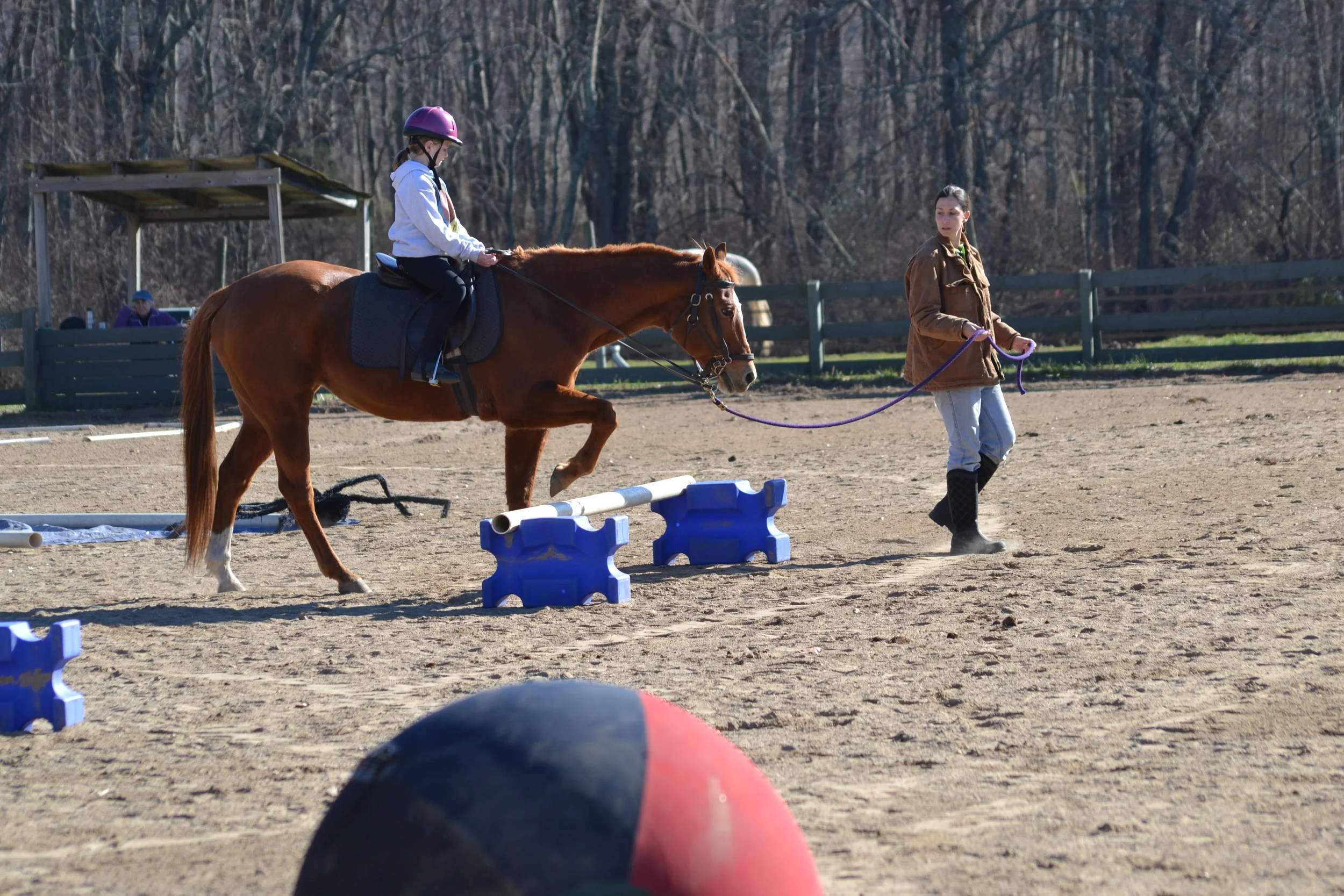  Photo Credit: Darren Norton 