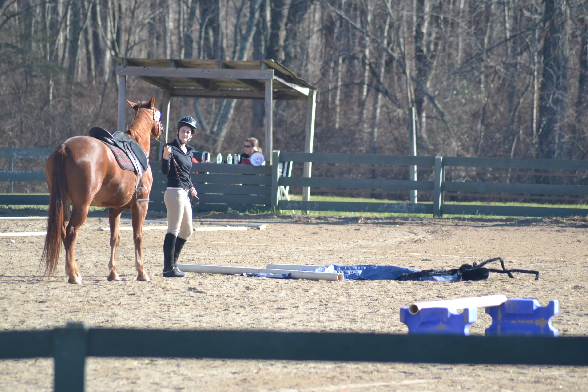  Photo Credit: Darren Norton 