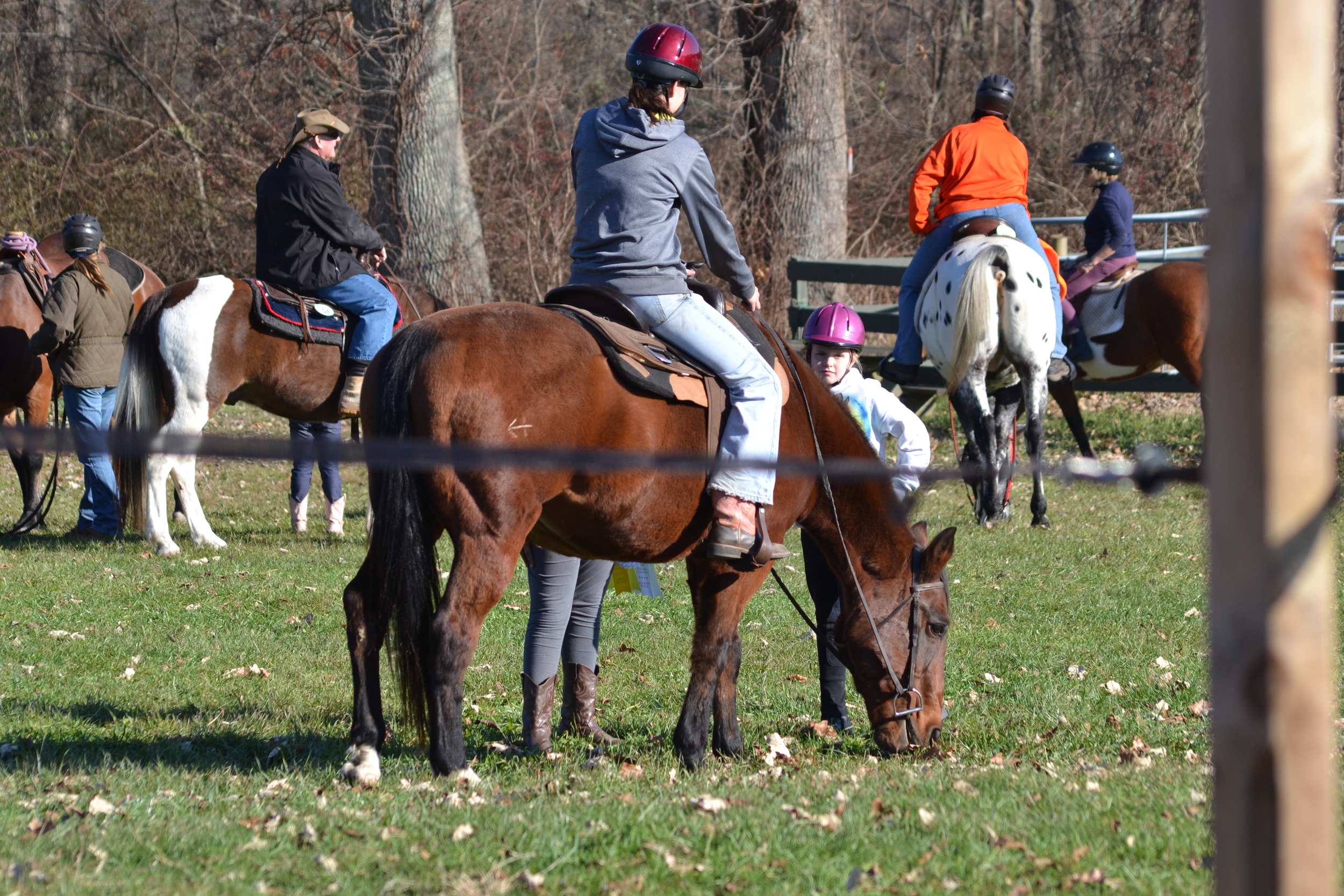  Photo Credit: Darren Norton 