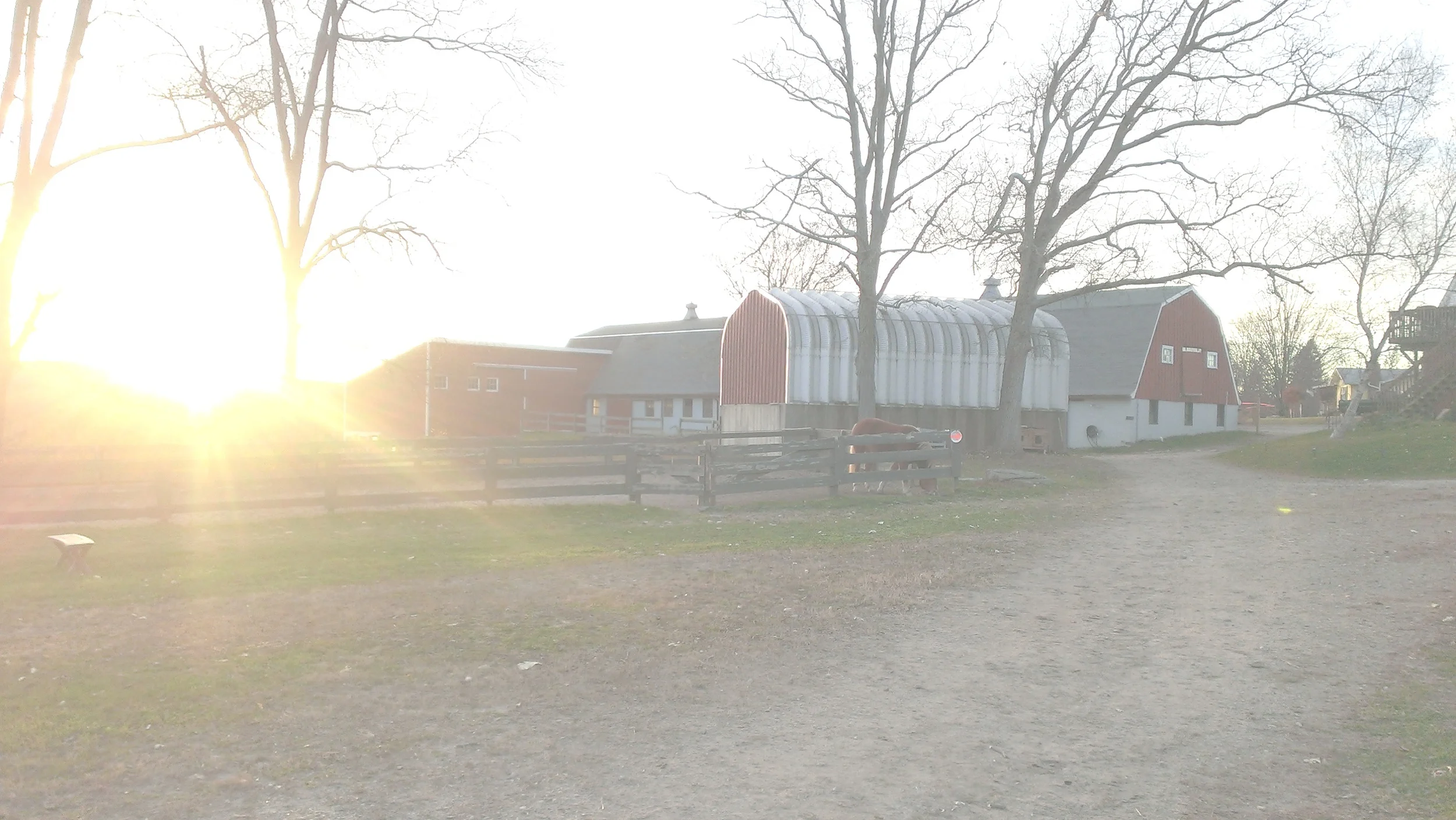 2012-12-30_07-37-56_389.jpg