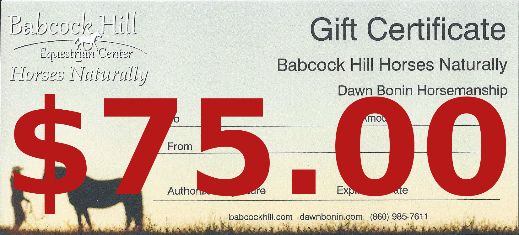 $75 Gift Certificate - Covers 1 Lesson with Dawn on a lesson horse