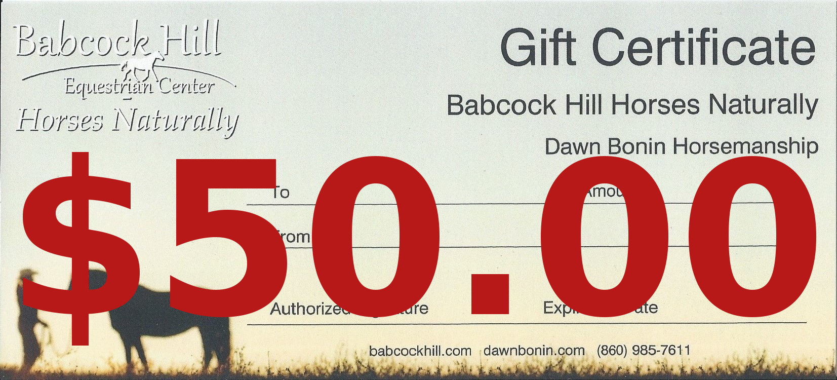 $50 Gift Certificate - Covers 1 Lesson with Instructor on your own horse