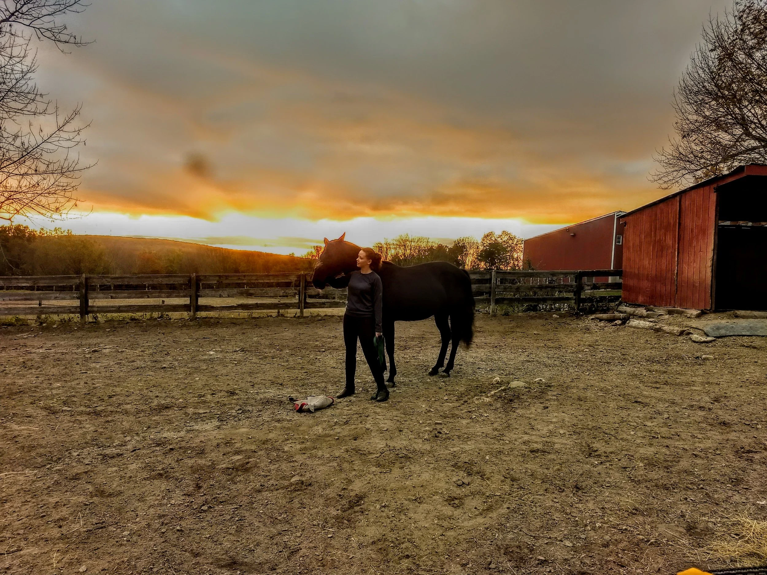 IMG_20171014_175321313_HDR.jpg