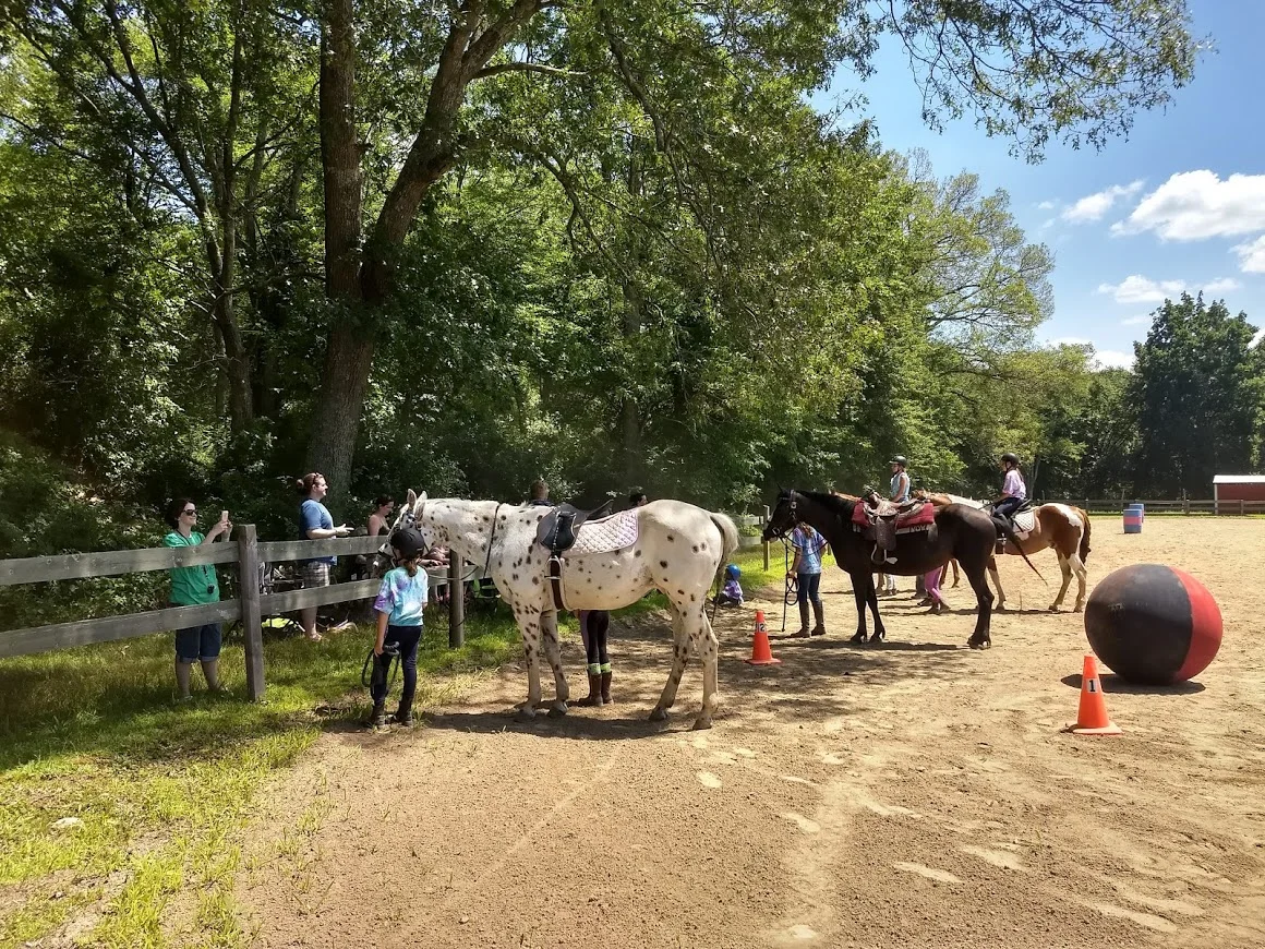 Horsemanship Camp