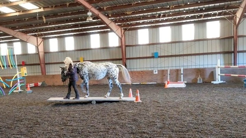 Versatility Clinic