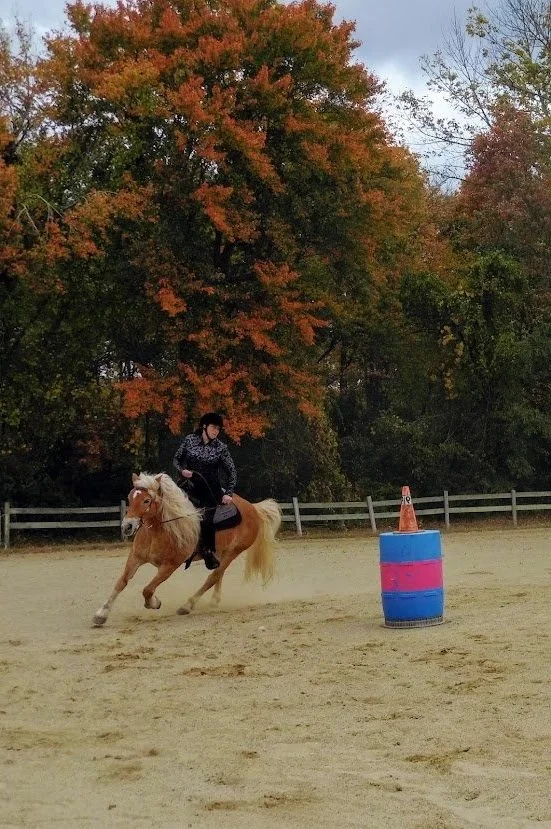 Gymkhana Day