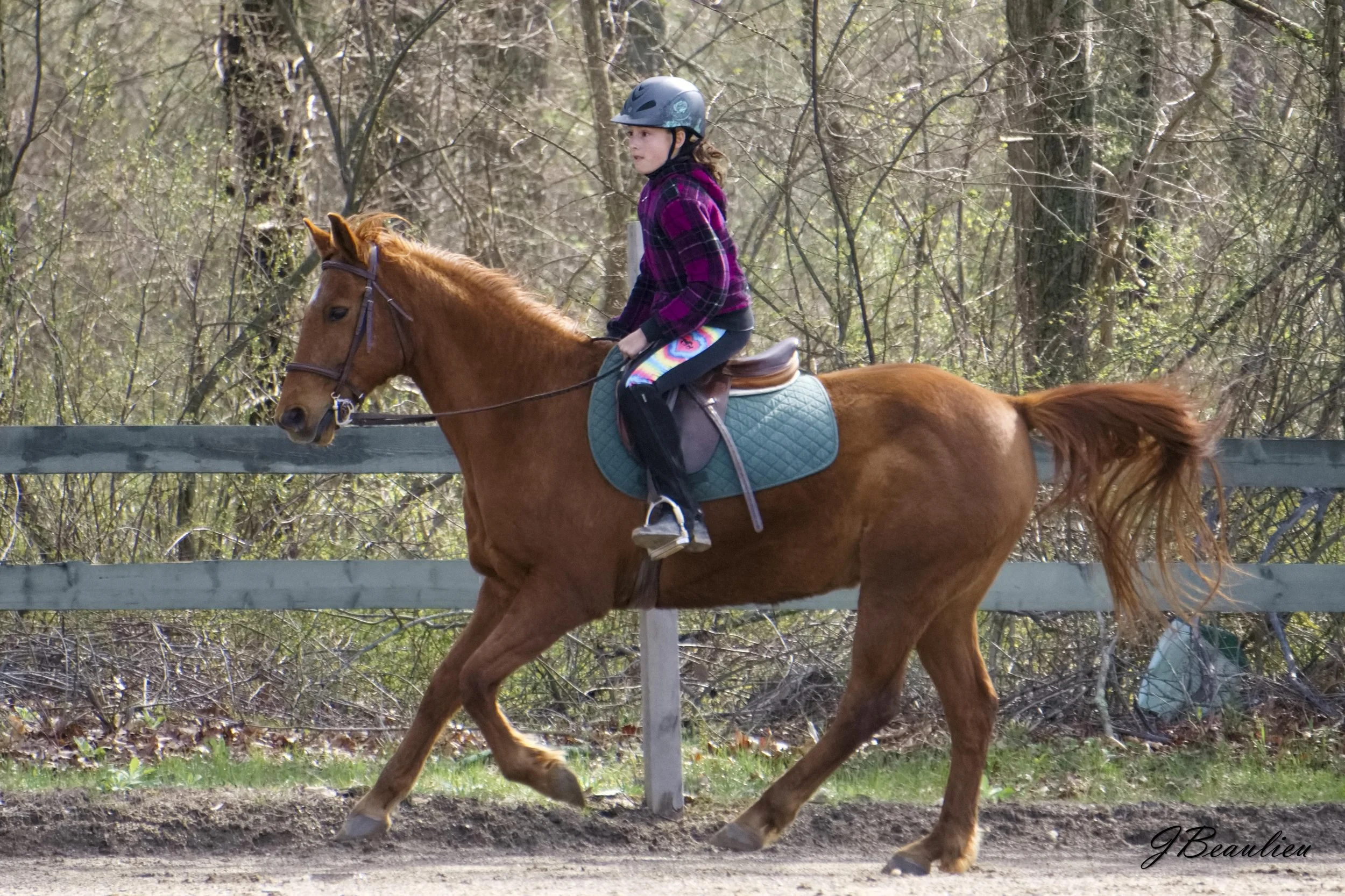 Intro to Jumping