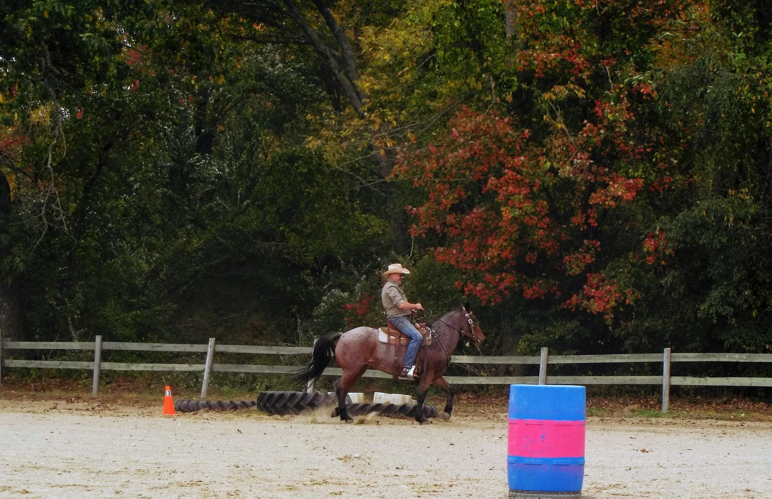 Babcock Hill Fun Show
