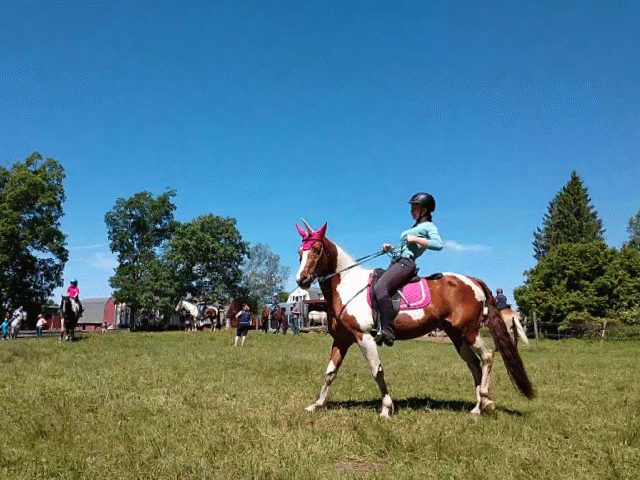 Discovery Day at the Farm