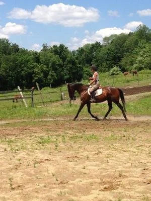 Rider Fitness