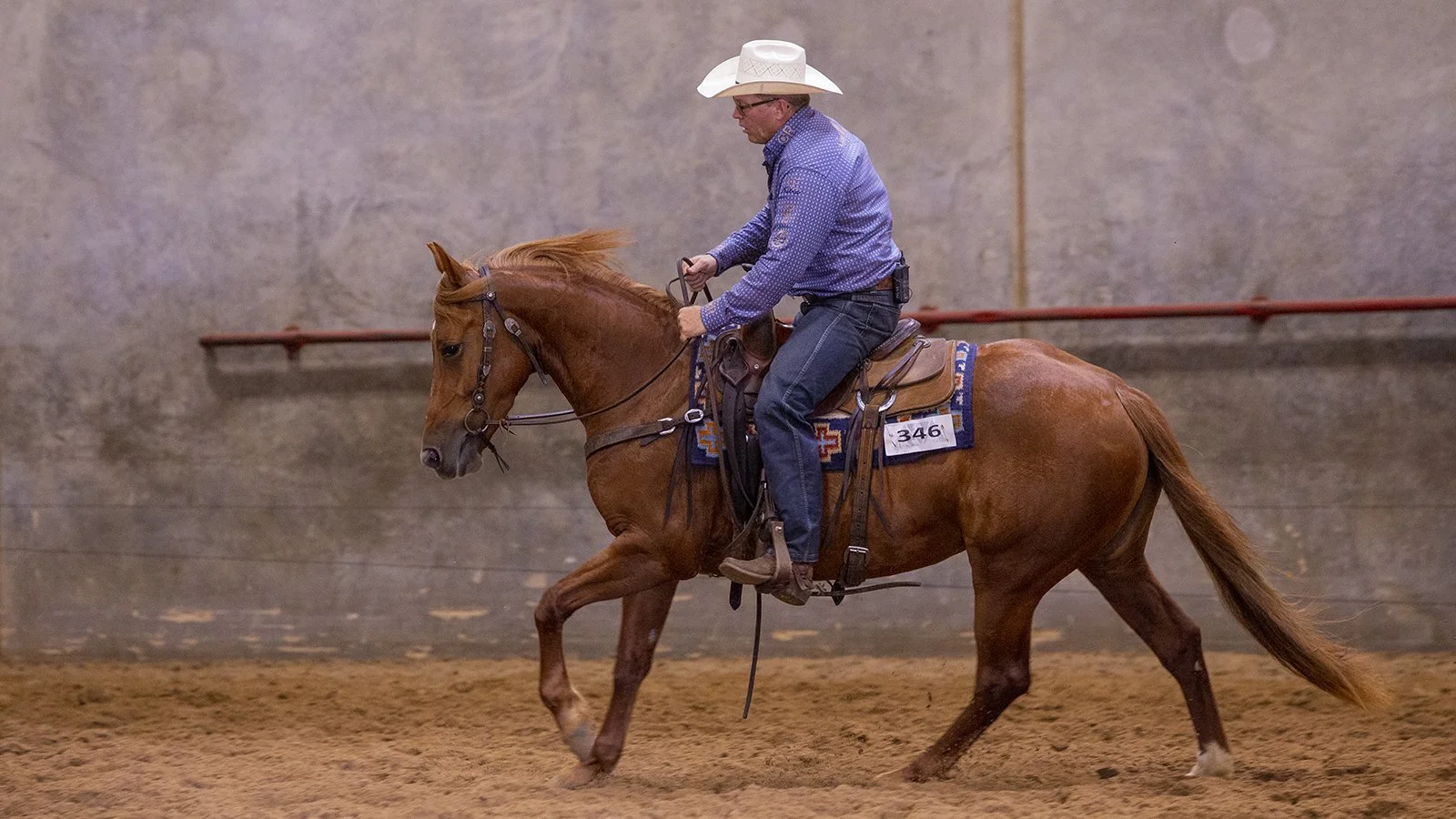 Ranch Horse Clinic