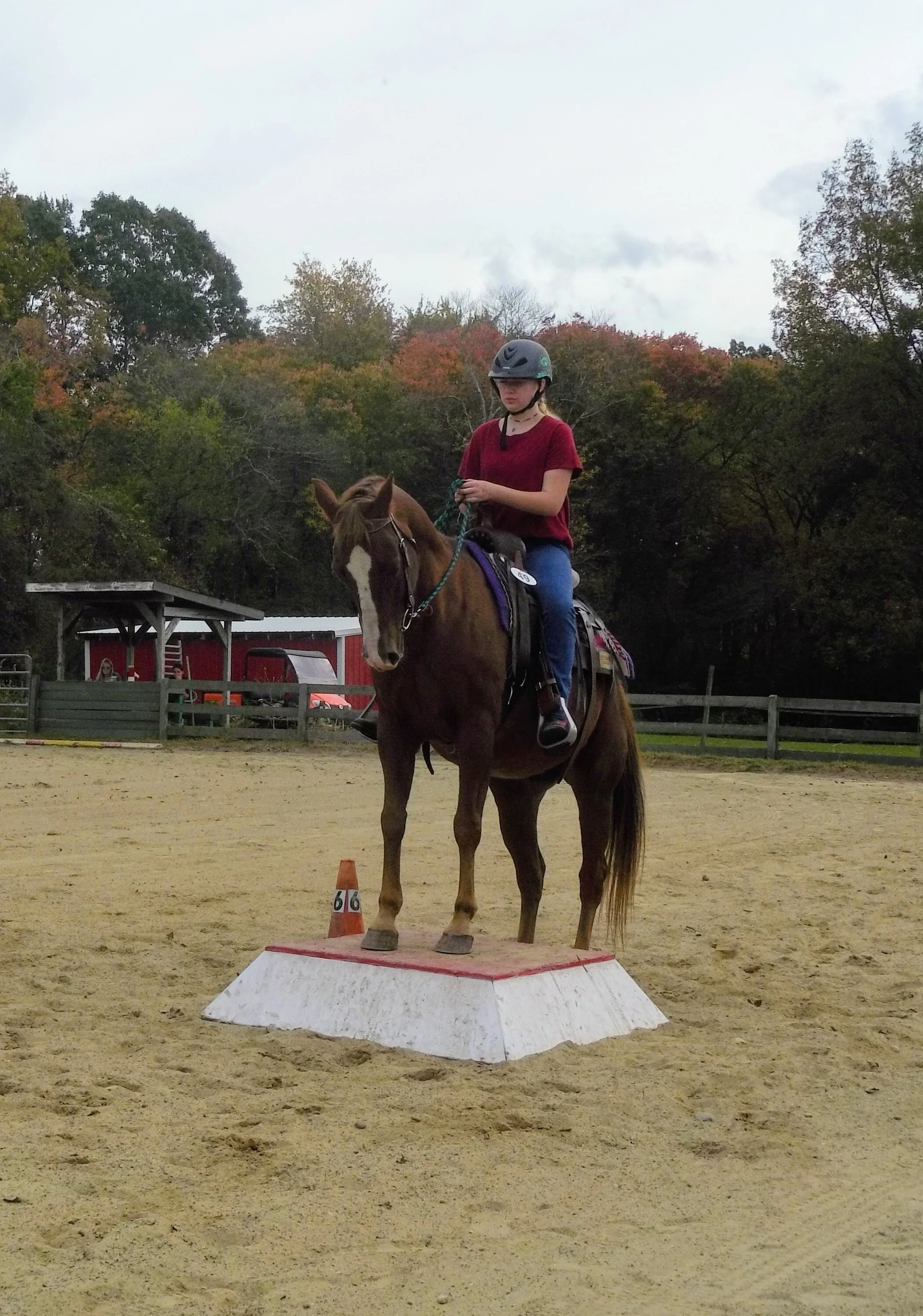 Versatility Clinic