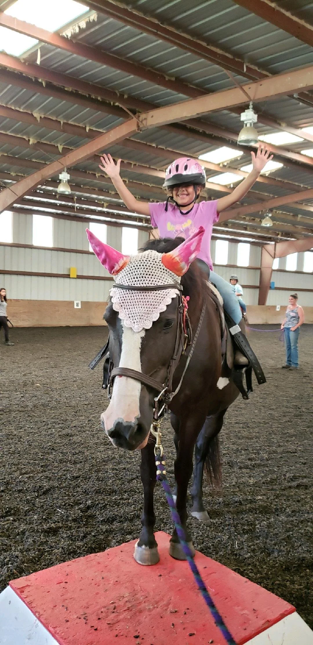 🌞Horsemanship Camp: Own Your Own Horse Week (ages 7+)