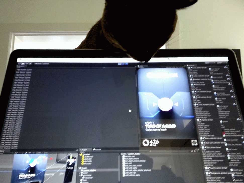 glintCat.gif