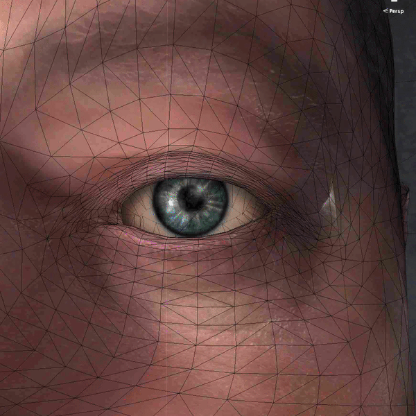 Eye Mesh Shadow &amp; PF Blink Updates
