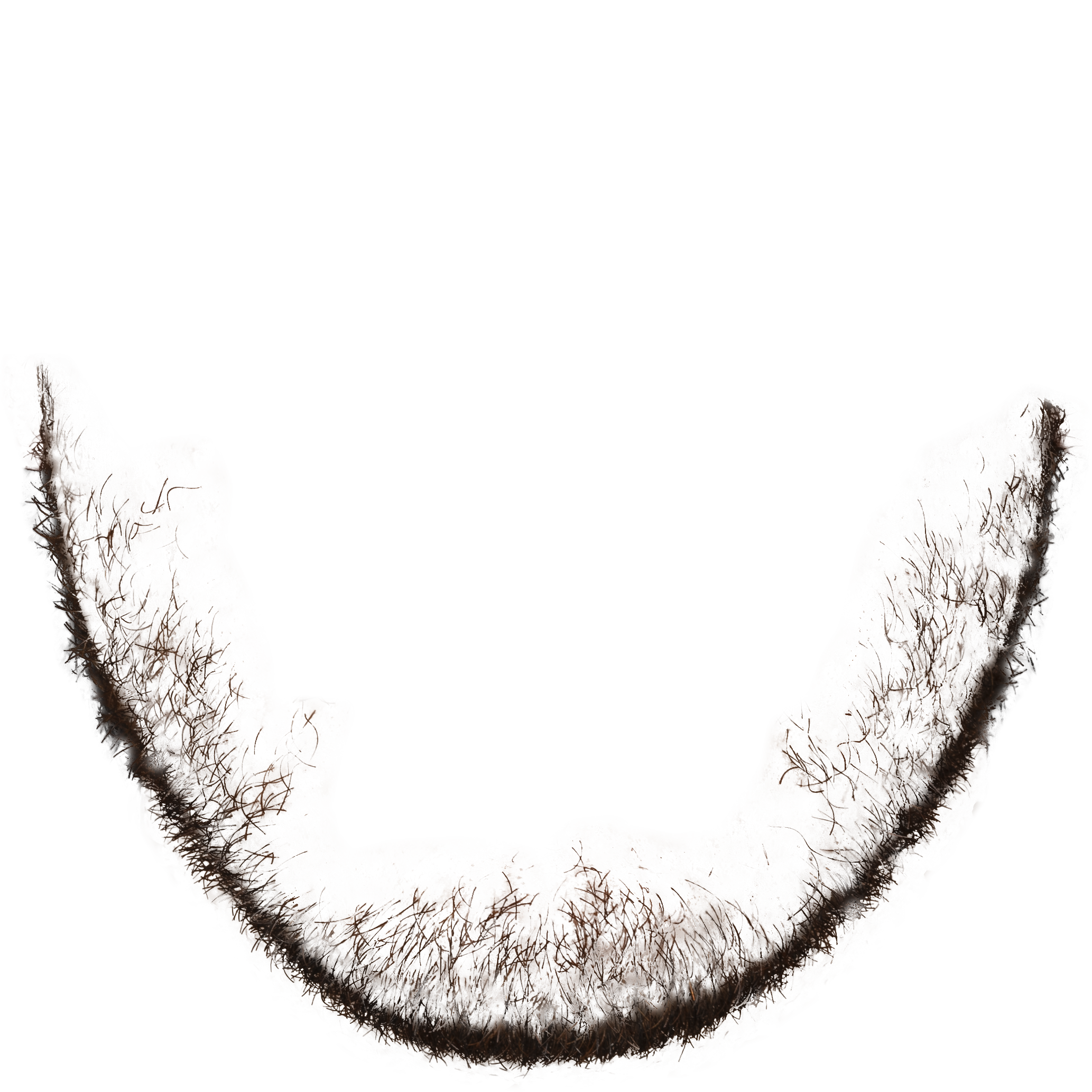 Mark's beard, isolated
