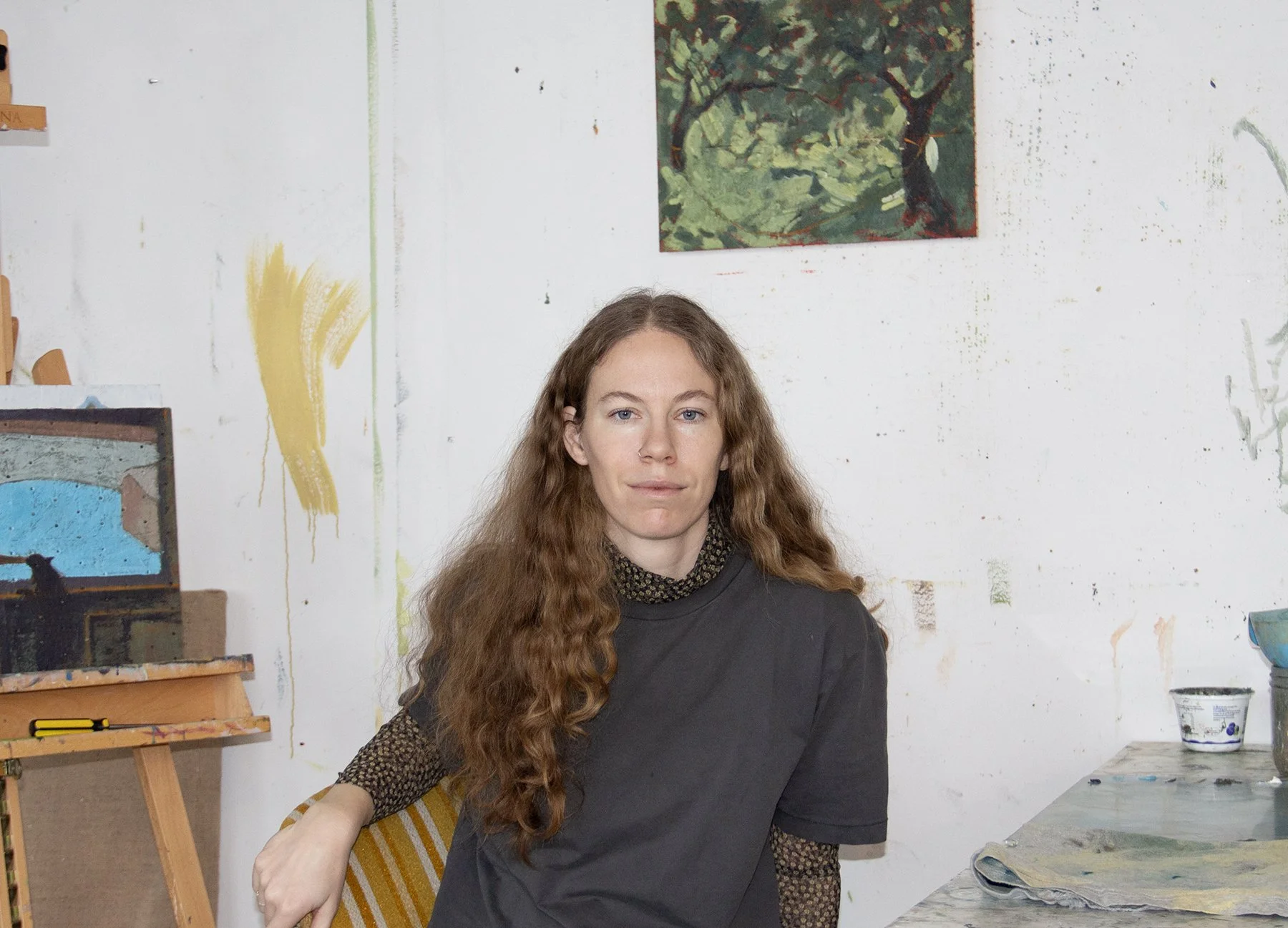 Four Pillars Artist Lecture - Lucy Copper, “Painting Landscapes from Google Images”