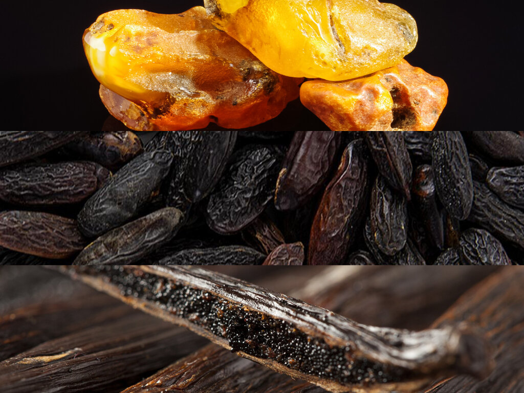 BASE NOTES: AMBER, TONKA BEAN, VANILLA 