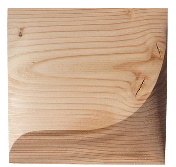 CNC routed recycled wood panels were added to the wall to encourage organic growth.