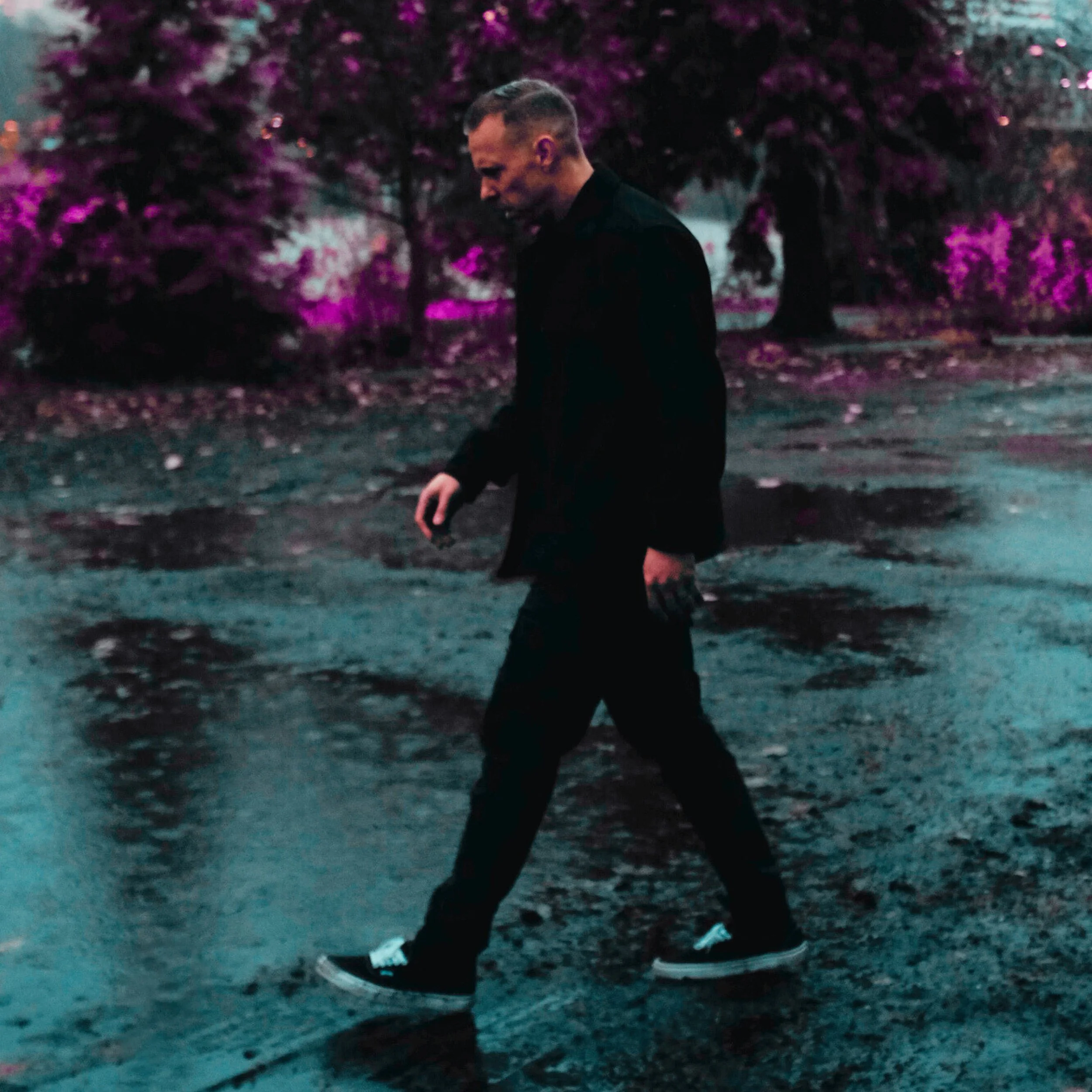 Felix Culpa (album cover).jpeg