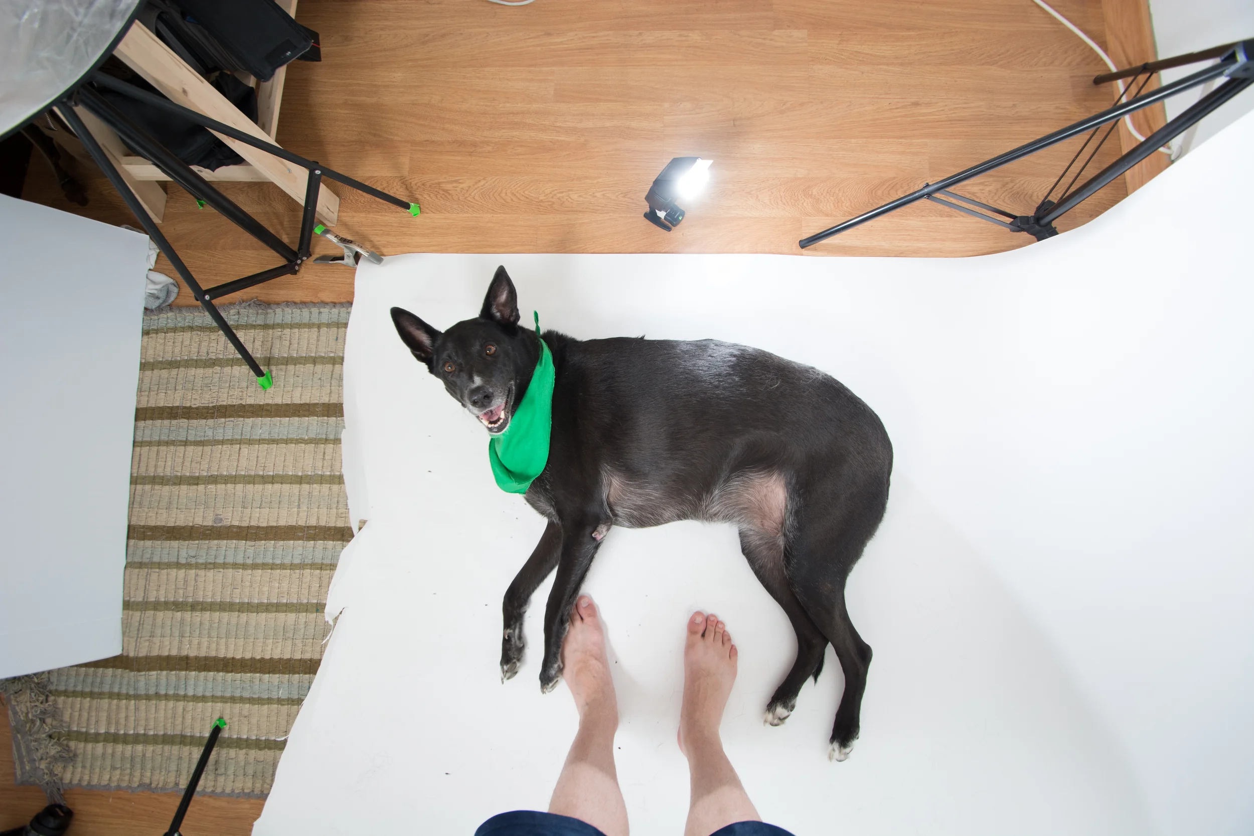 Collin Reed Studio_Chloe.JPG