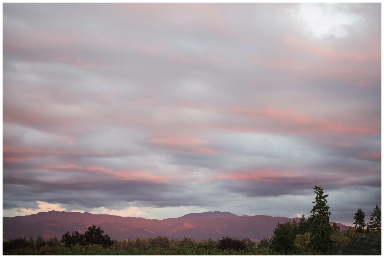 Enumclaw_Wedding_Photographer (35).jpg