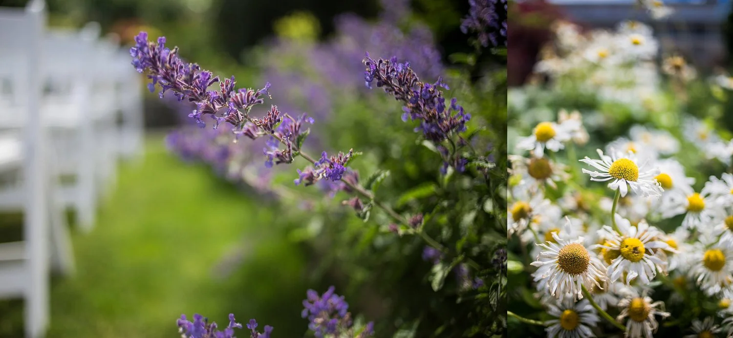 Roche_Harbor_Wedding_Photographer (40).jpg