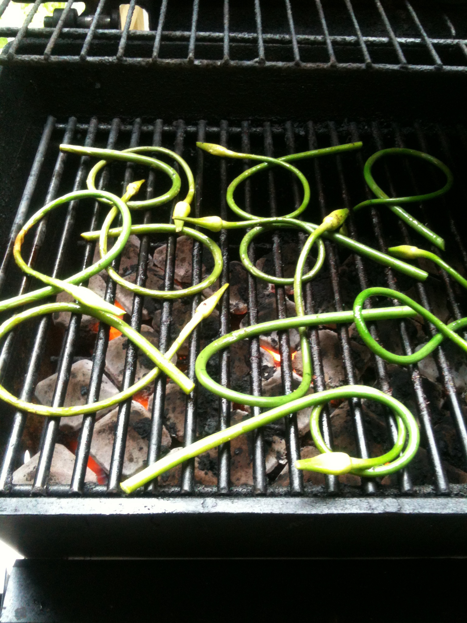 ©2012HelenaMcMurdo_ScapesontheGrill