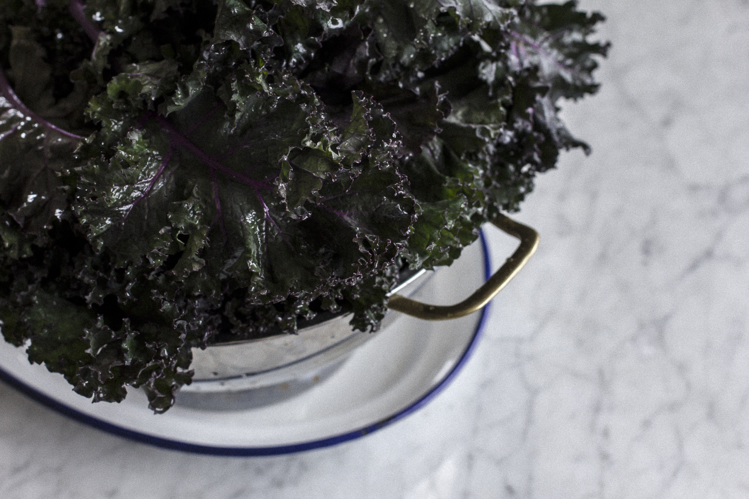 Kale. Helena McMurdo Photography on Endless Picnic.