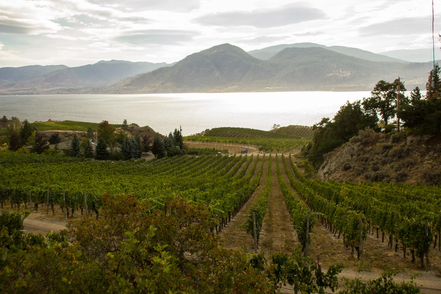 Three Days in Naramata