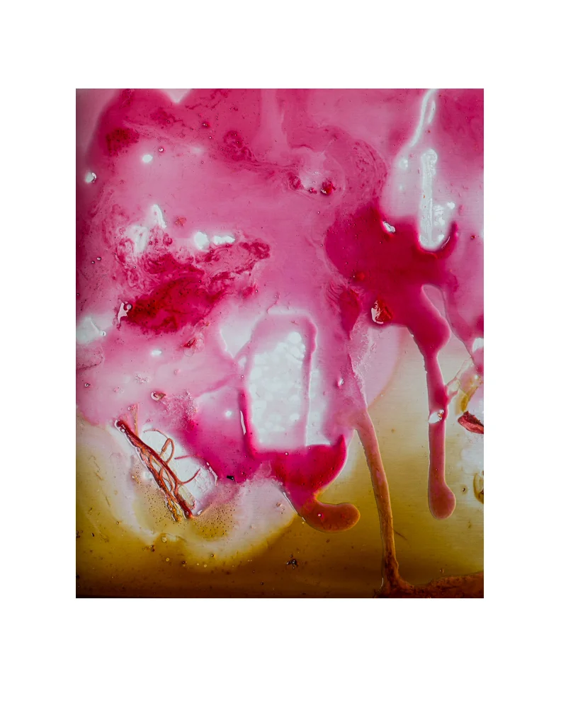 HelenaMcMurdo_Rhubarb Mess.jpg