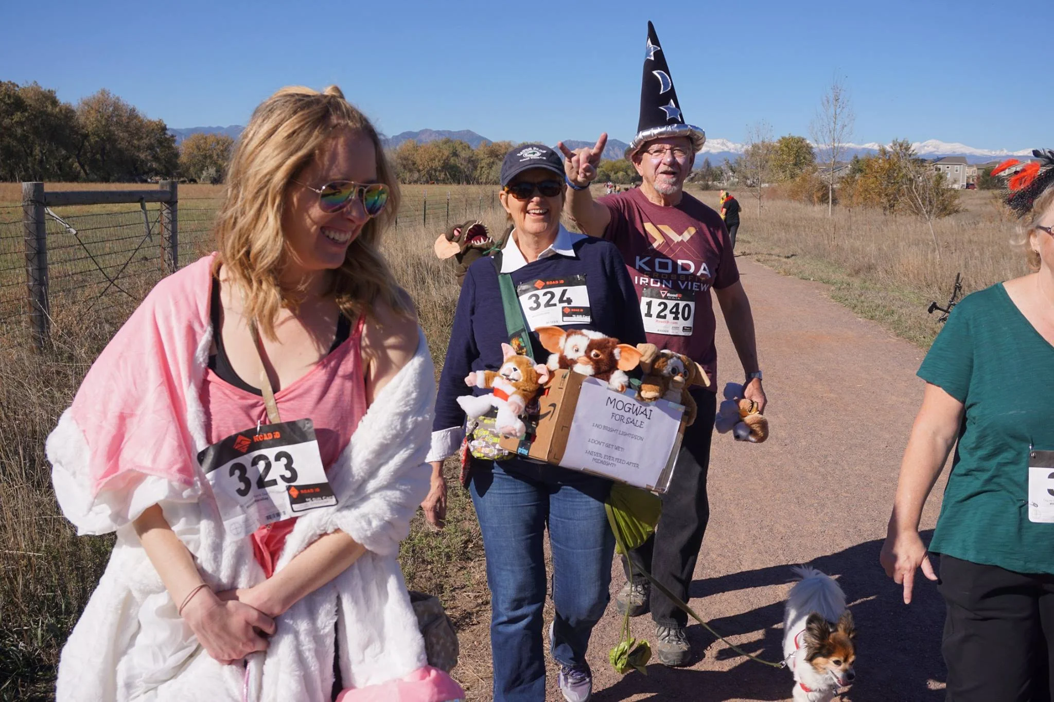 Such creative costumes and cute doggies!
