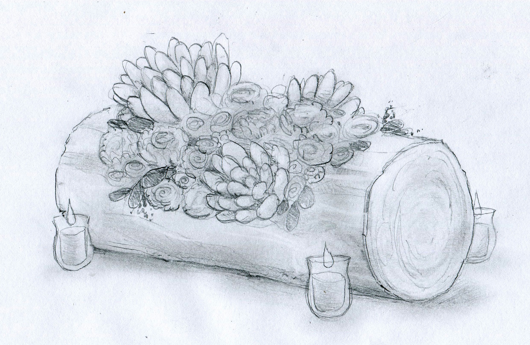 BirchLog