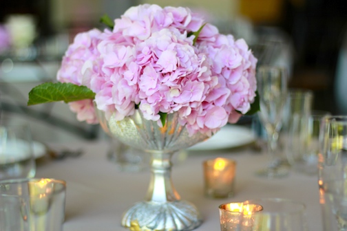 STEMS In-House Photography