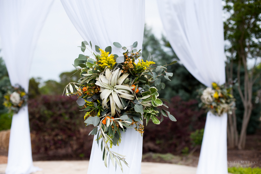 Jenny DeMarco Photography