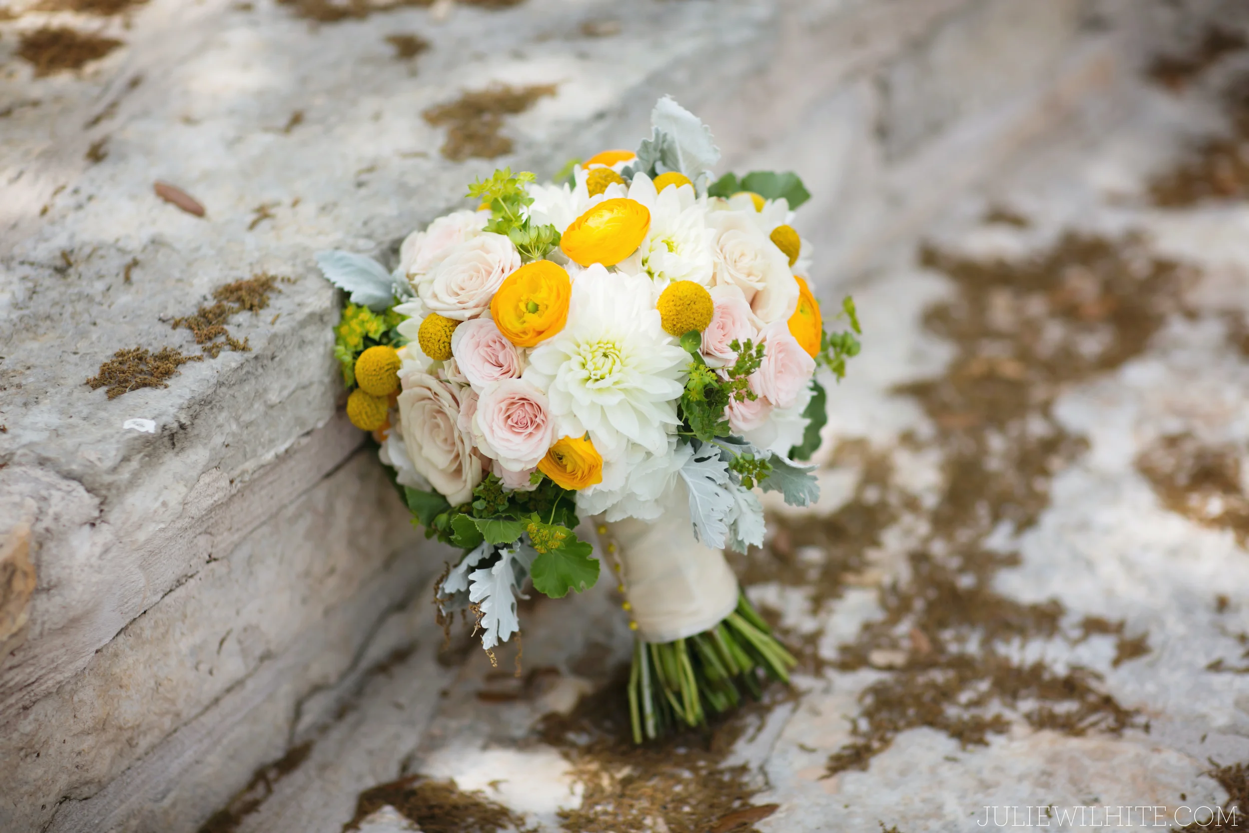 JulieWilhitePhotography_CynthiaandCasey_002.jpg