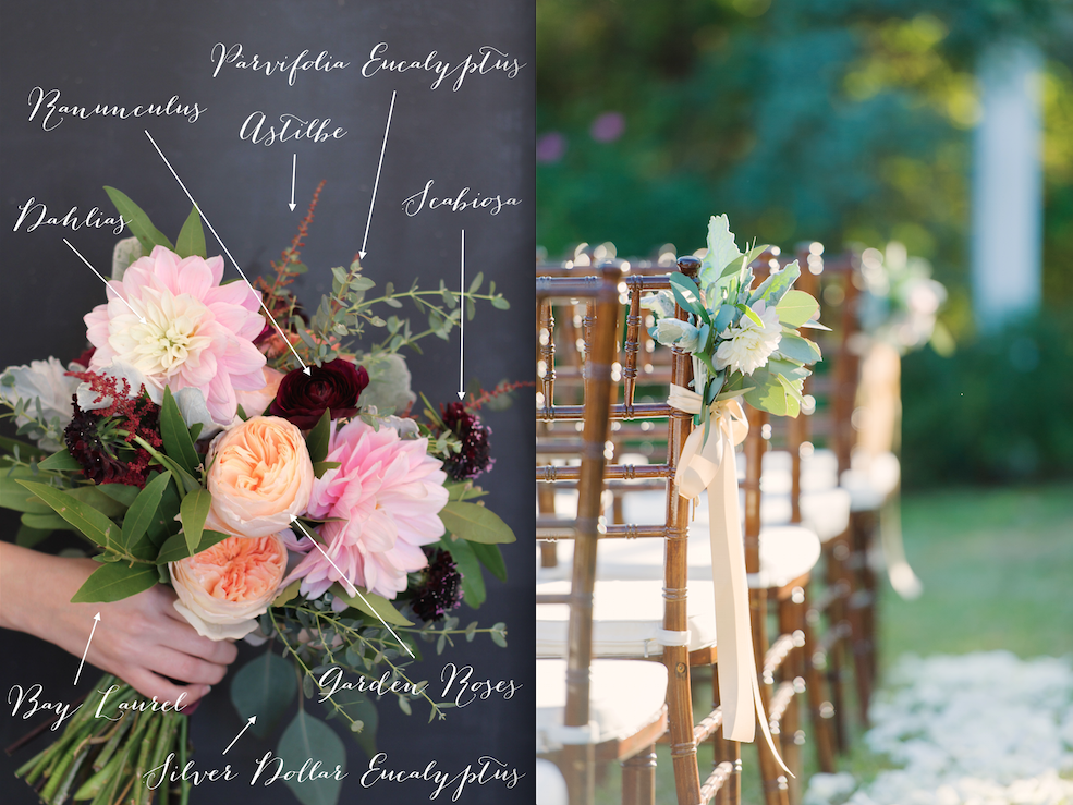 Photo on the left by STEMS