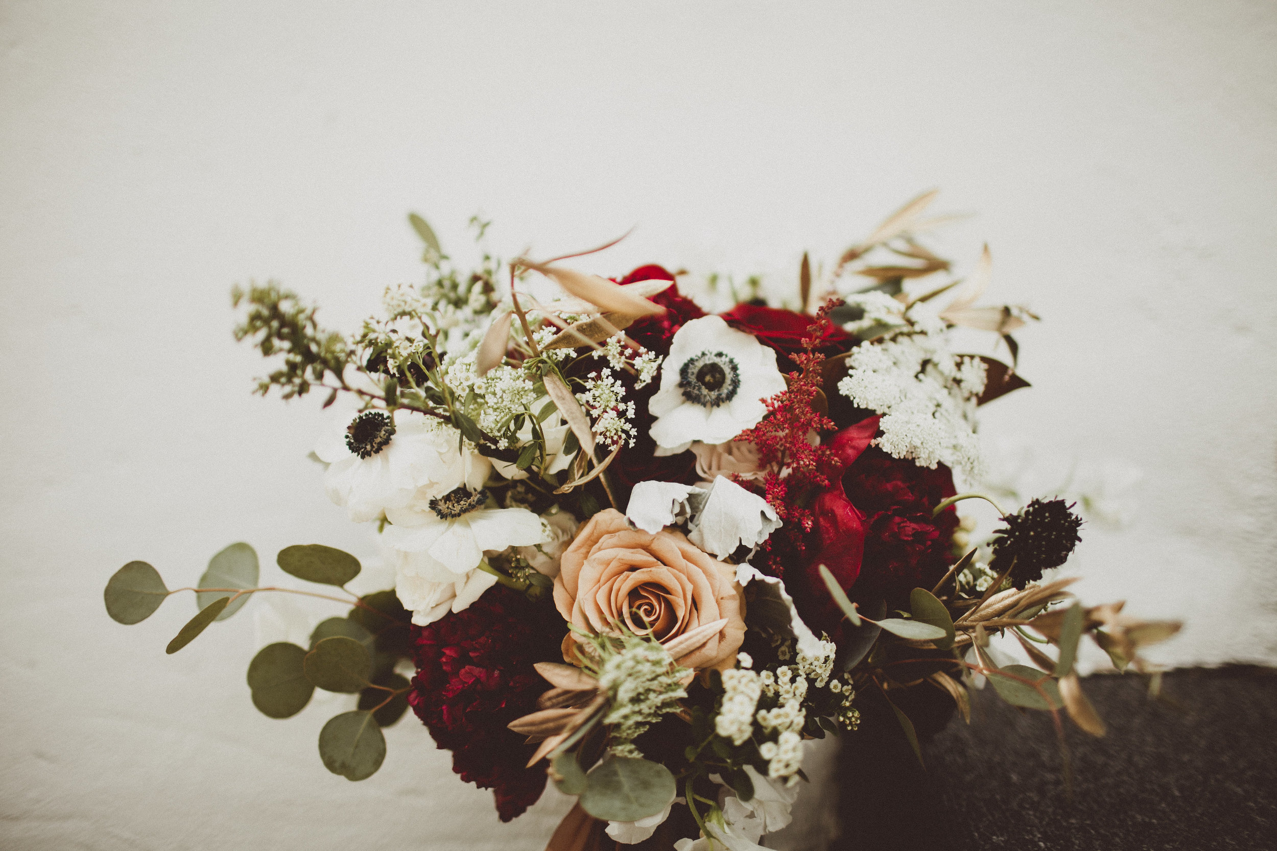Lauren Apel Photography