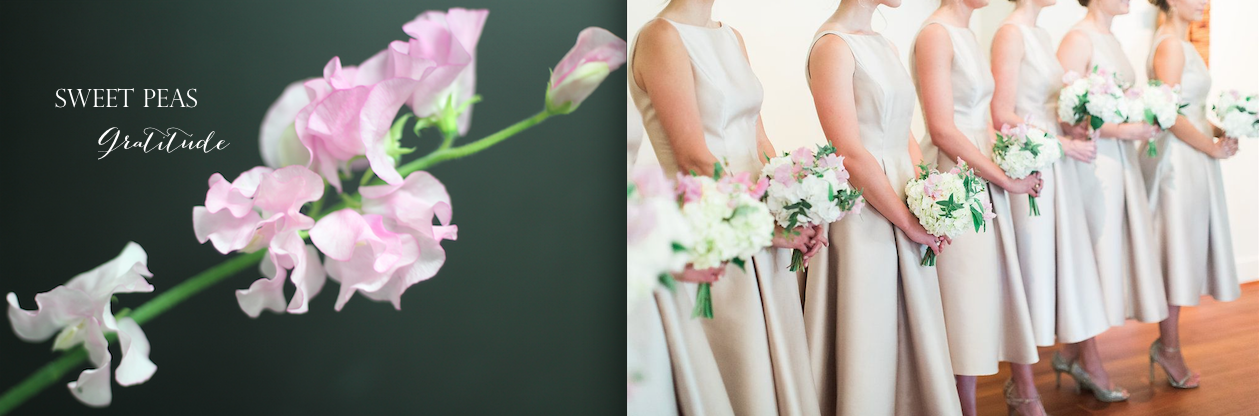STEMS (Left) | Loft Photography (Right)