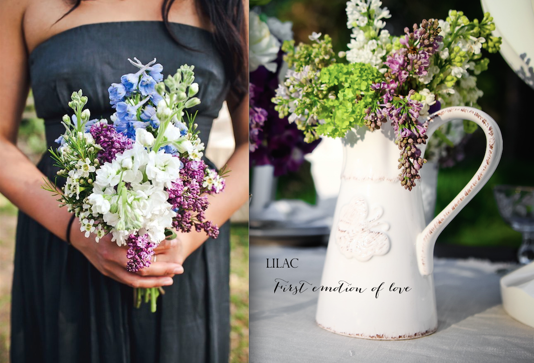 Caroline's Collective (Left) | Hyde Park Photo (Right)