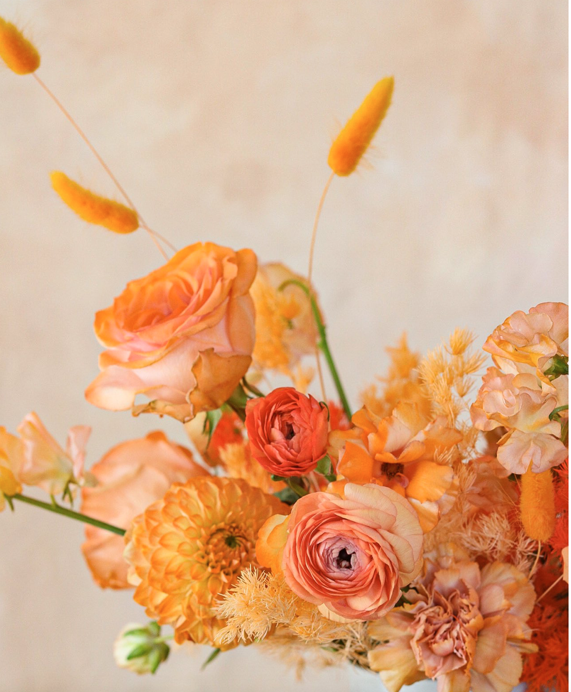 Screen Shot 2022-10-08 at 1.14.52 PM.png